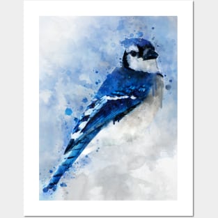 Dramabite Watercolor Blue Jay Bird Posters and Art